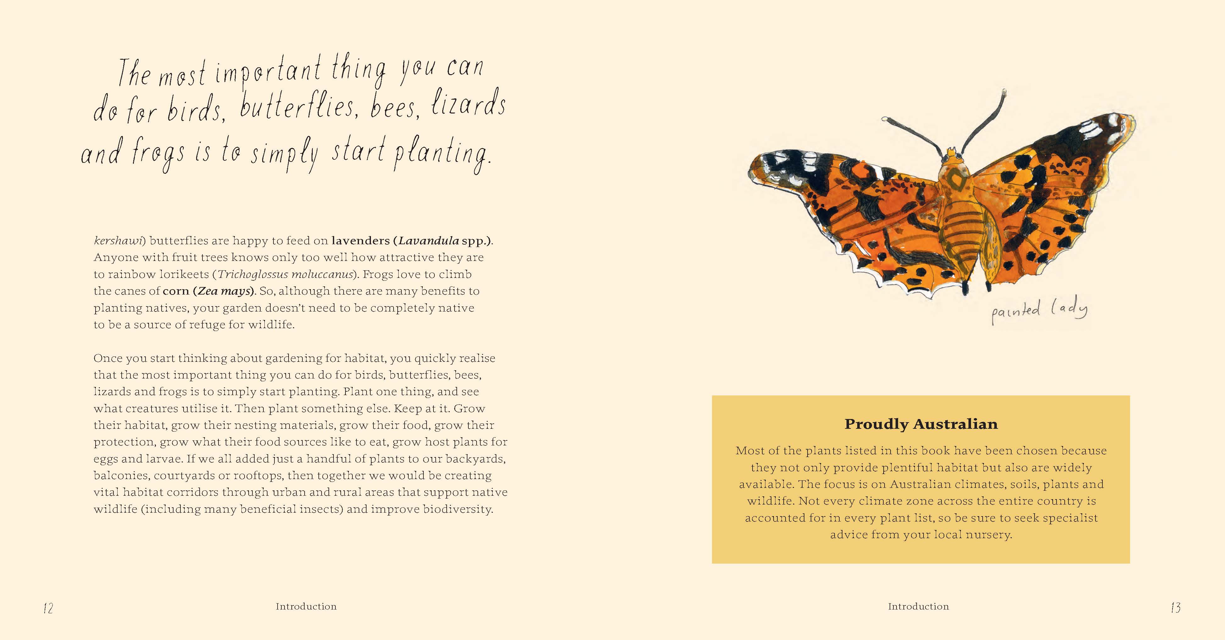 Planting for Native Birds, Bees and Butterflies - Image 4