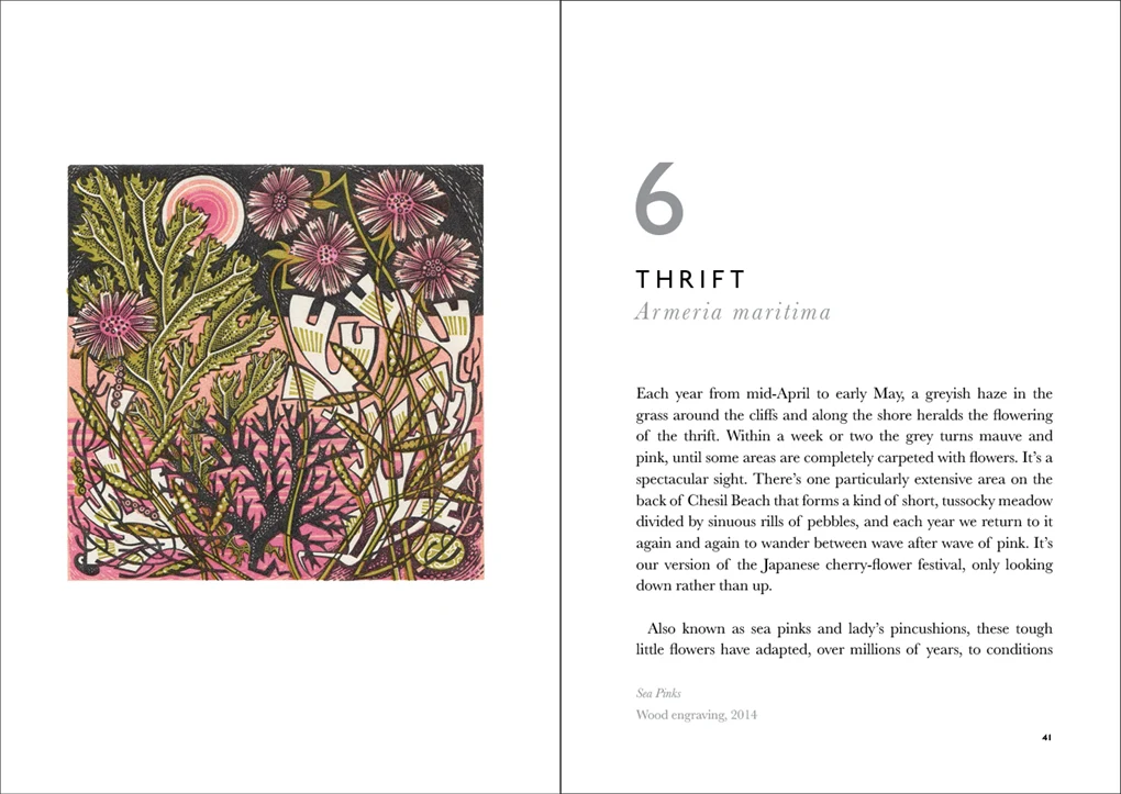 The Book of Wild Flowers:Reflections on Favourite Plants - Image 4