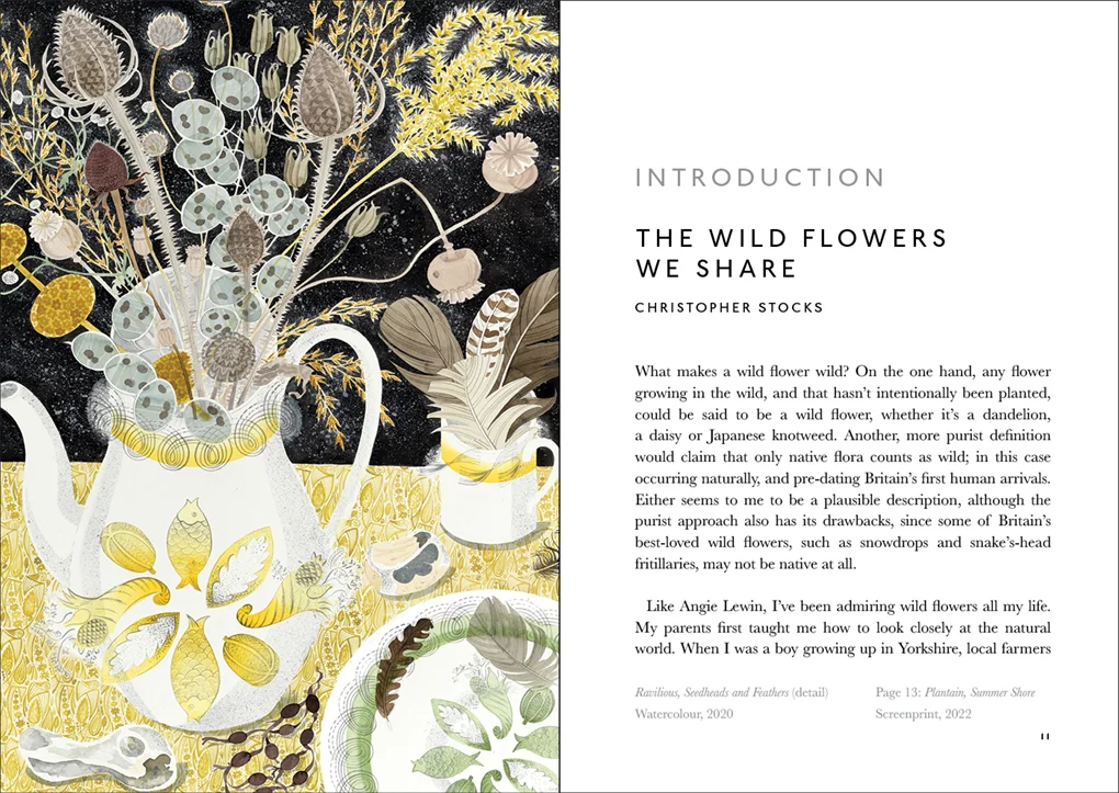 The Book of Wild Flowers:Reflections on Favourite Plants - Image 5